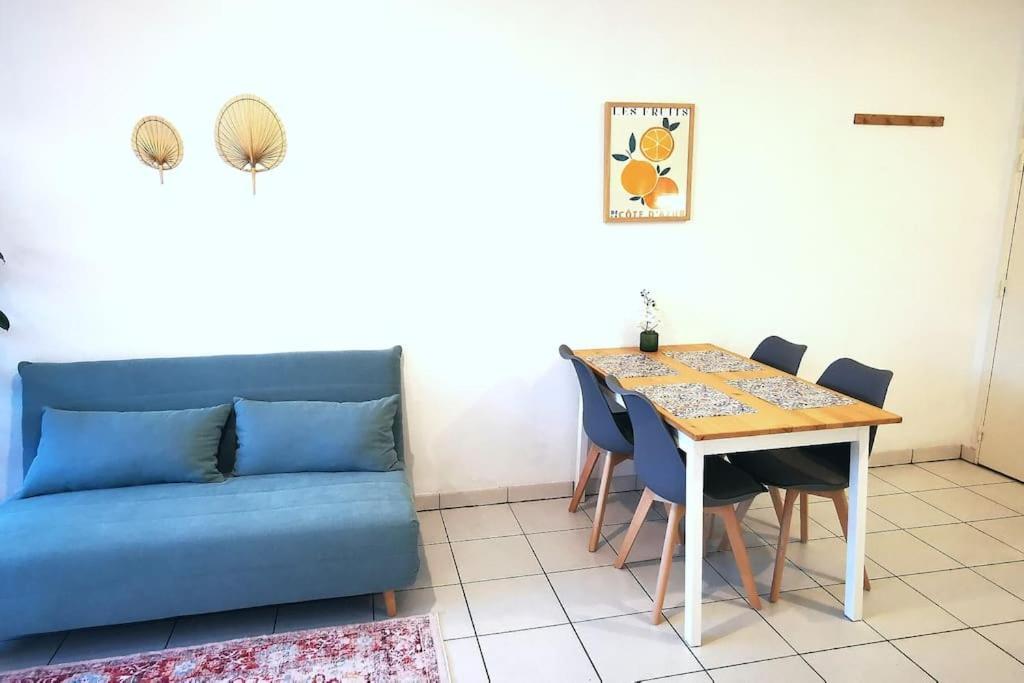 Grand Studio Lumineux Et Sa Terrasse Au Calme 툴루즈 외부 사진